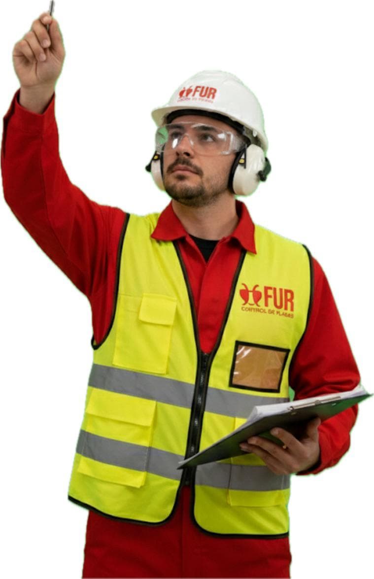 Inspección de plagas